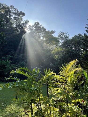 A slice of heaven in the heart of Kuala Lumpur