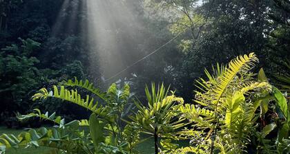 A slice of heaven in the heart of Kuala Lumpur