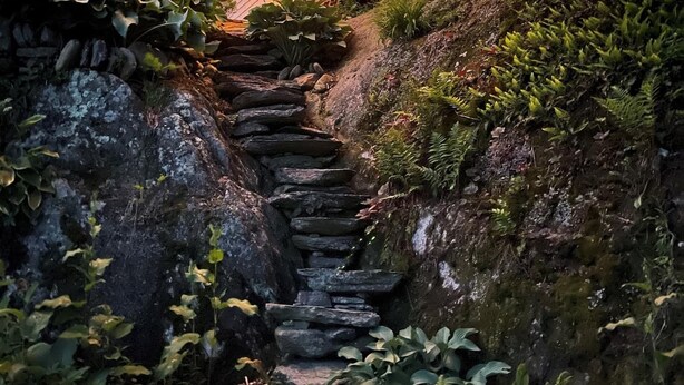 Una casa con una escalera de piedra que conduce a una terraza de madera, rodeada de abundante vegetación.