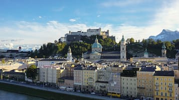 A historic cityscape with a prominent castle on a hill, surrounded by a river and a variety of buildings.