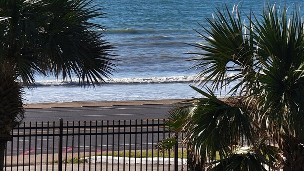 A beach view with palm trees and a fence. - New Heated Pool & Hot tub! Views plus 2 recliners! (Galveston)