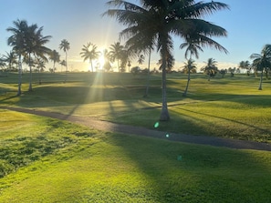 A golf course with a path, palm trees, and a clear sky.