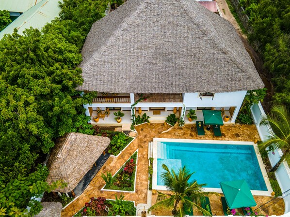 A thatched-roof house with a pool and outdoor seating area surrounded by lush greenery.