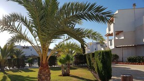 Un patio bien cuidado con palmeras, un seto ordenado y un edificio con balcones.