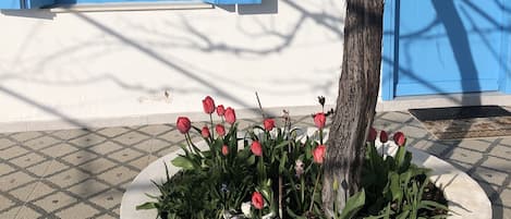 Detalj exteriör