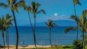 A beach with palm trees and a clear view of the ocean.
