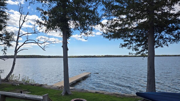 Una terrazza sul lago con un molo di legno che si protende nell'acqua, circondata da alberi e da una zona verde con un braciere.
