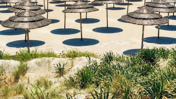 A beach with numerous thatched umbrellas arranged in rows. - Narcissos 'Nissi Beach' apartment C12 (Ayia Napa)