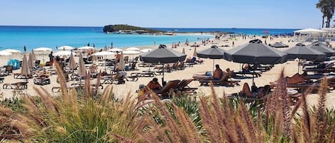 Plage à proximité, sable blanc, chaises longues, parasols