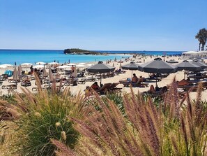 근처 해변, 백사장, 일광욕 의자, 비치 파라솔