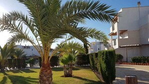 A well-maintained courtyard with palm trees, a neatly trimmed hedge, and a building with balconies. - Extraordinary duplex in Naturist area (Vera)