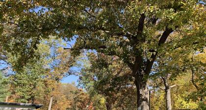 The one and only-! Infamous Winchester Mystery House