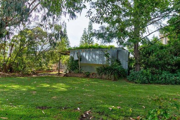 A garden with a shed, a lawn, and various trees. - Lockhart Leafy Cottage (Mollymook)