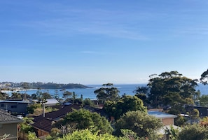 A residential area with houses, trees, and a view of the ocean.