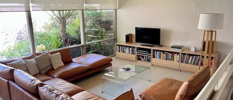 TV, DVD player, books