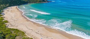 Beach Dreaming Summar