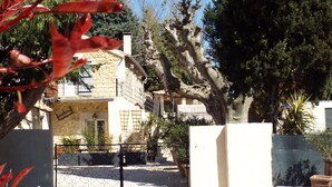 Un edificio in pietra con un balcone, circondato da alberi e piante in vaso.