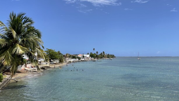 Een kustlandschap met helder water, palmbomen en gebouwen langs de kust.