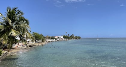 Malecon Beach House with beautiful backyard. Steps from the Caribbean ocean.