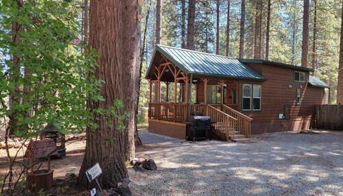Tiny House at Bigfoot Lodging Lassen