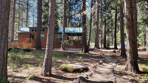 Een chalet met een metalen dak, omgeven door hoge bomen en een bosbodem met rotsen en schaarse begroeiing.