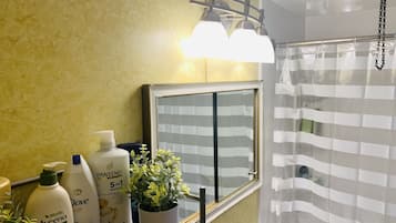Combined shower/tub, free toiletries, hair dryer, towels