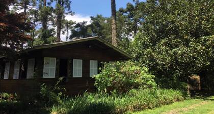 House in Horto Florestal: a paradise!