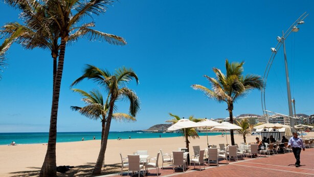 Un restaurant situé en bord de mer, avec une terrasse, des palmiers et une vue sur la plage et l’océan.