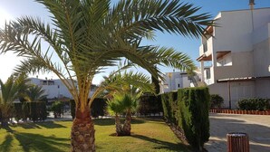 A well-maintained courtyard with palm trees, neatly trimmed hedges, and a paved walkway. - NATURIST DUPLEX IN FIRST LINE OF VERA PLAYA! (Vera)