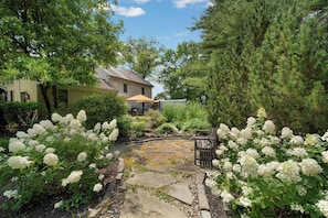 Stroll through the serene garden, surrounded by lush greenery and a tranquil atmosphere.