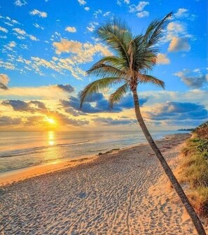 Beach - Apt#2 BEACH-CHARMING Lodging SUNNY PLACE:BBQ/Patio (Pompano Beach)