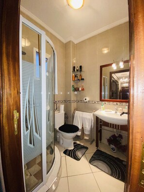 Combined shower/bathtub, jetted bath, hair dryer, bidet