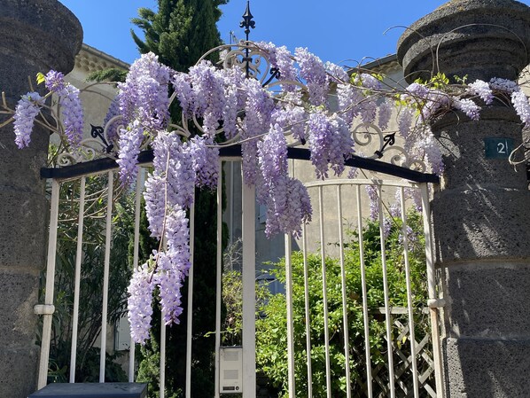 المنشأة من الخارج