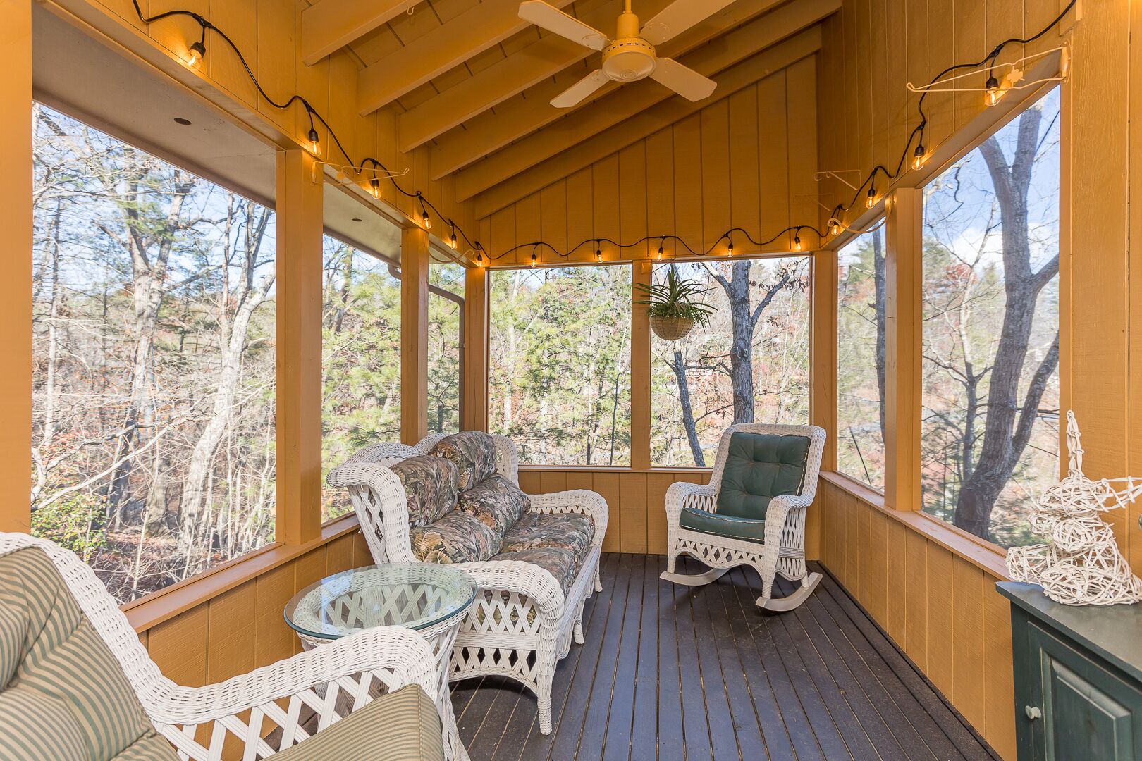 TV connectée, cheminée, jeux vidéo, lecteur de DVD