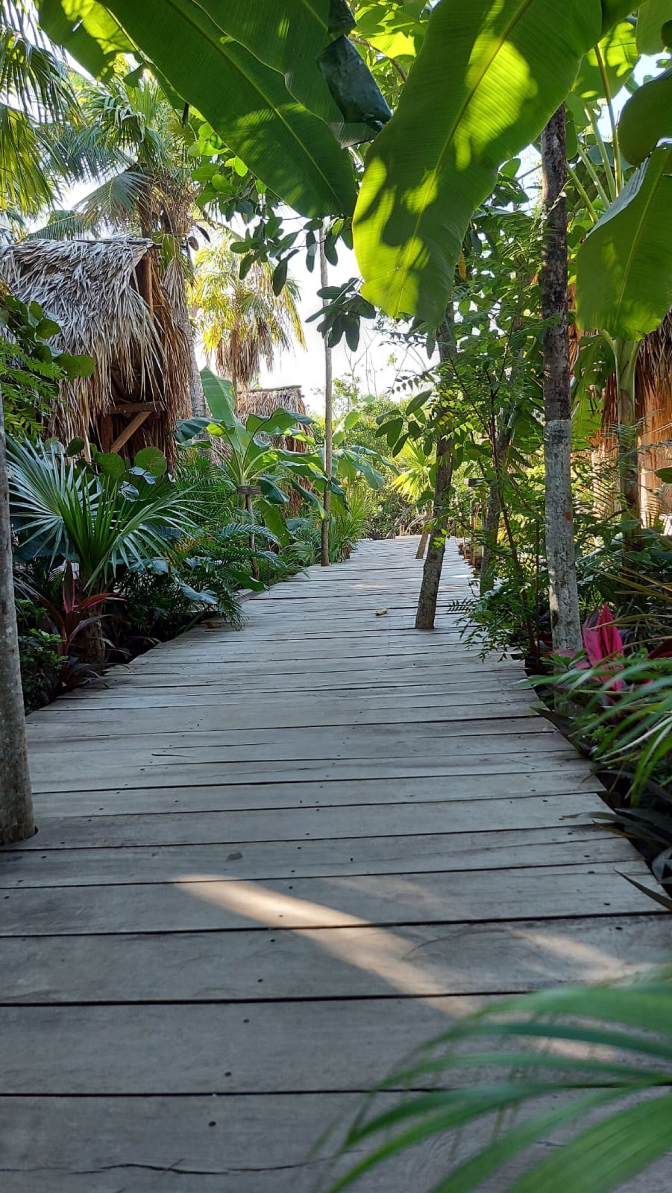 Foto - Uman Glamping & Cenote Tulum