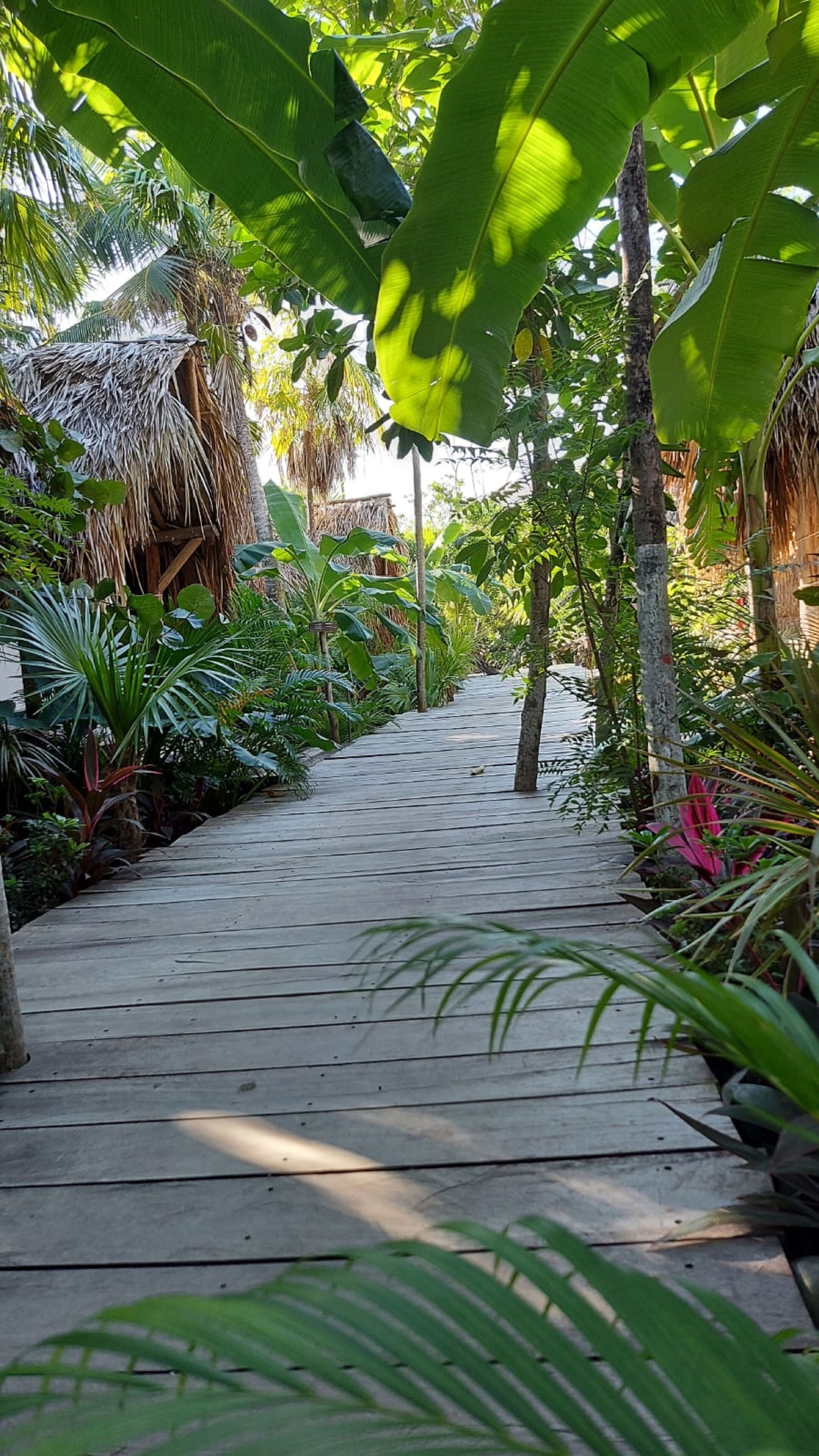 Foto - Uman Glamping & Cenote Tulum