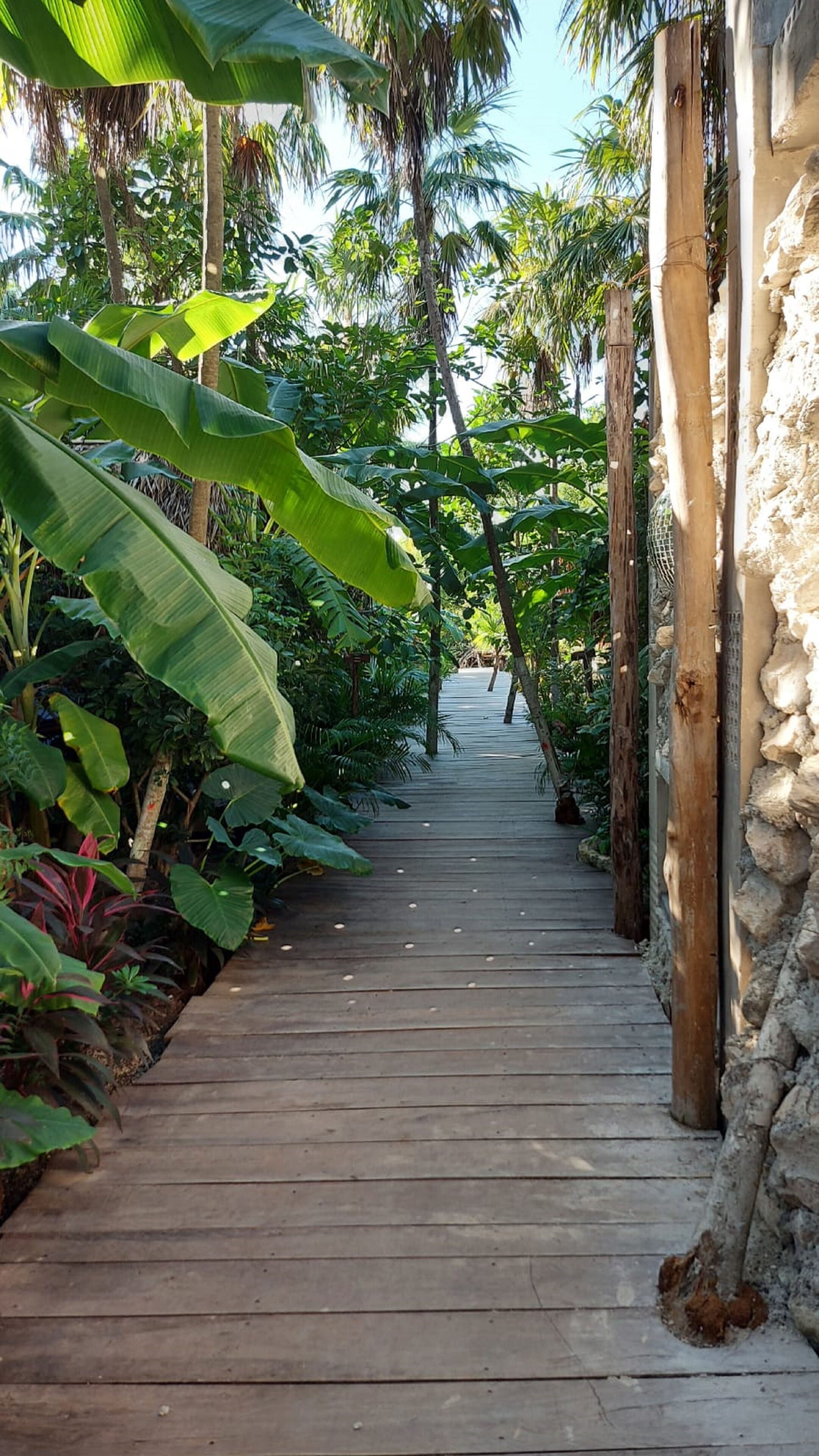 Foto - Uman Glamping & Cenote Tulum
