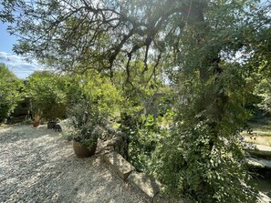 A garden area with potted plants, a gravel path, and a stone wall. - Gîte-Deluxe-Countryside view-Ensuite (Servies-en-Val)