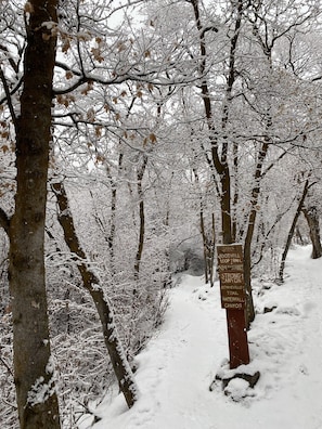 A snow-covered trail with a wooden signpost listing various trails and destinations.