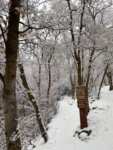 Darling house near outdoor adventures-newly remodeled