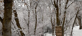 Darling house near outdoor adventures-newly remodeled