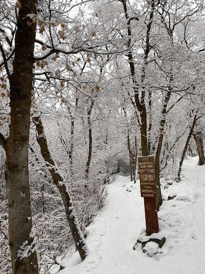 Darling house near outdoor adventures-newly remodeled