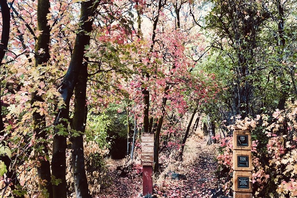 Àrea exterior de l'allotjament