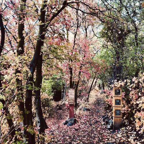 Darling house near outdoor adventures-newly remodeled