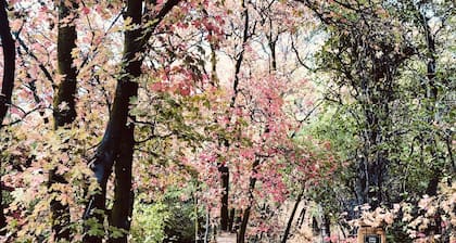 Darling house near outdoor adventures-newly remodeled