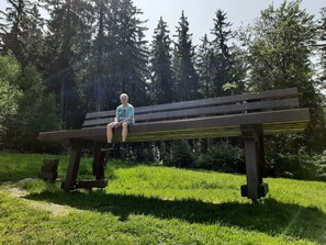 Parco della struttura