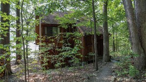 A rustic cabin surrounded by dense forest.