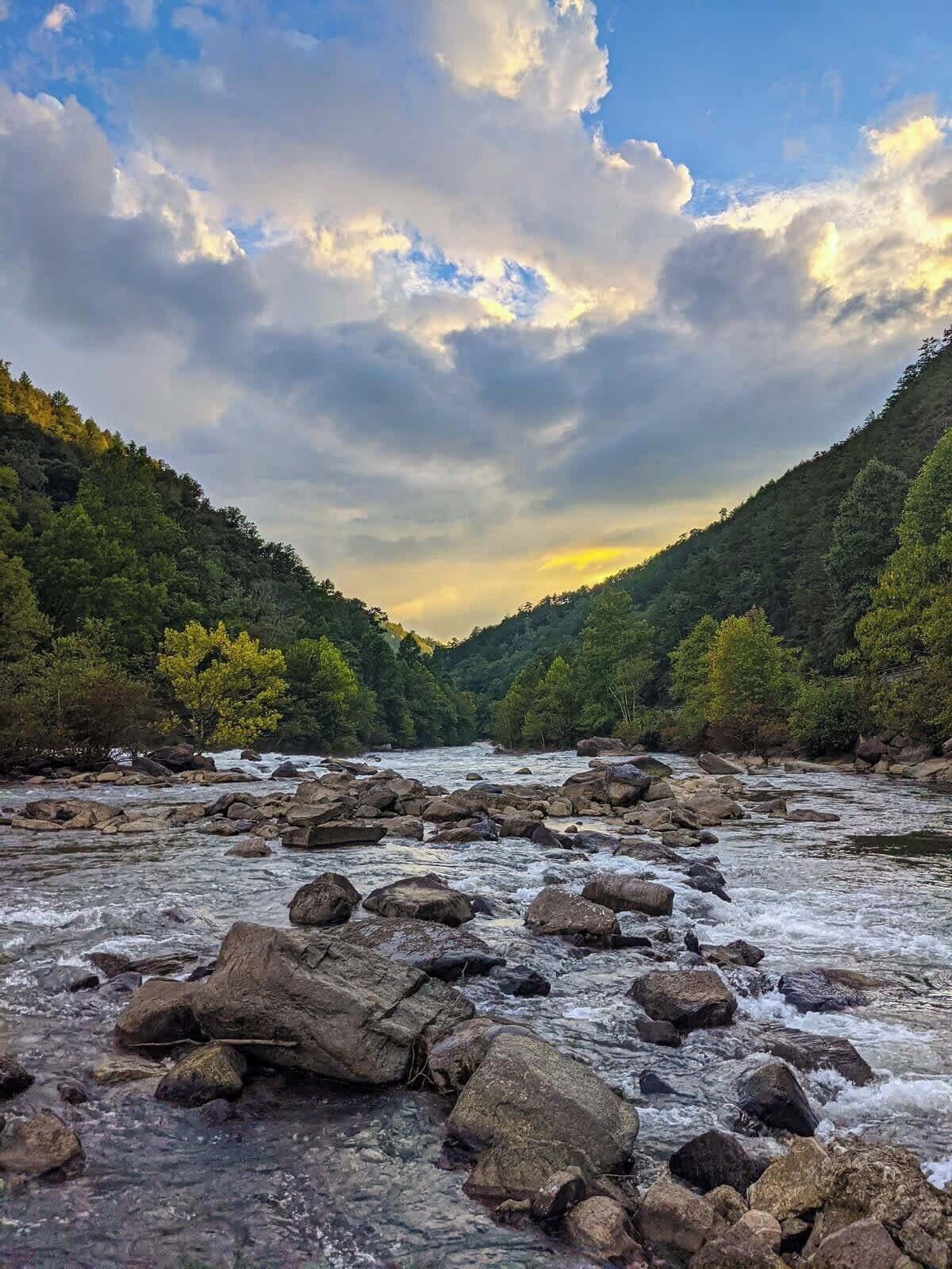 Un río con rocas, rodeado de colinas cubiertas de bosque.