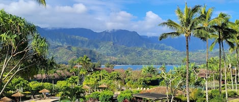 View from Lanai