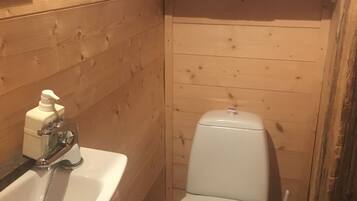 Shower, hair dryer, soap, toilet paper